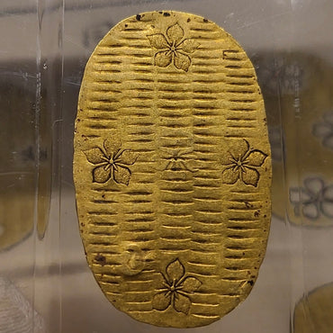 【Top Pop!】花振大判金(臆造品)AU-58